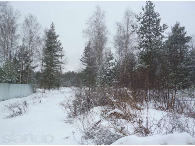 Участок со всеми коммуникациями днт Старт-2 в городе Орехово-Зуево, фото 4, Продажа земли под индивидуальное строительство