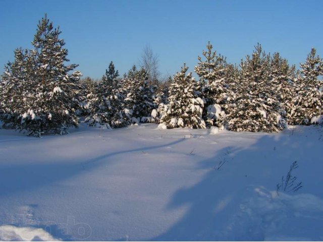 Участок 15 сот. ИЖС 65км от МКАД Горьковское ш. в городе Павловский Посад, фото 4, стоимость: 950 000 руб.