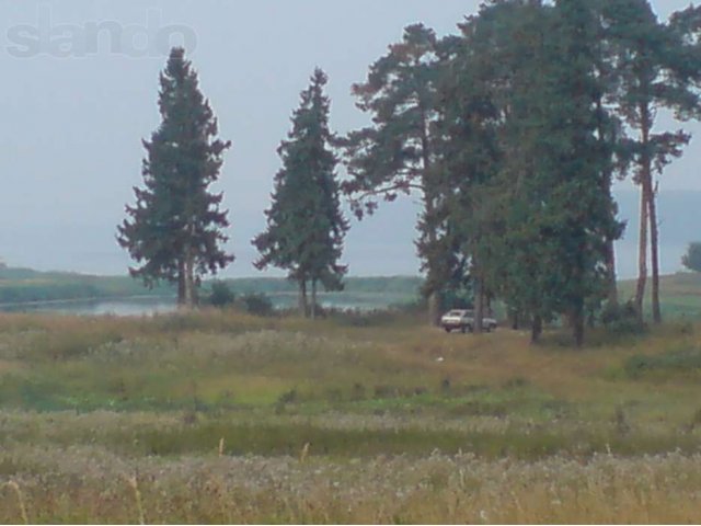 Участок в Волгаре 10 мин.от города. в городе Кострома, фото 4, Продажа земли под индивидуальное строительство