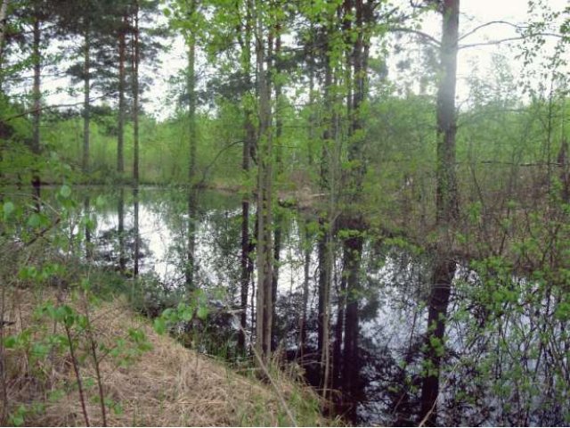 Продам участок от собственника в городе Переславль-Залесский, фото 2, стоимость: 900 000 руб.