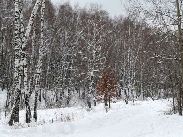 Денежниково. Участок 100 соток в городе Жуковский, фото 4, стоимость: 8 000 000 руб.