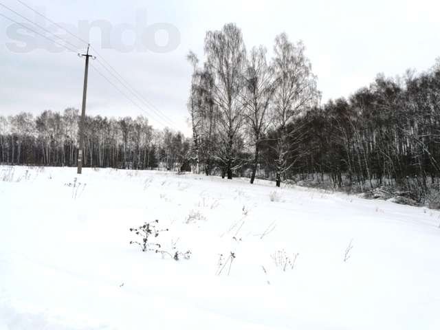 Денежниково. Участок 100 соток в городе Жуковский, фото 5, Продажа земли под индивидуальное строительство