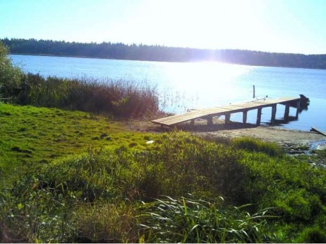 П.Орлино, Ижс, 12 соток в городе Санкт-Петербург, фото 3, Ленинградская область