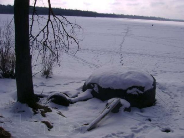 Продам 20 соток, Собственник! Рассрочка! в городе Гатчина, фото 5, Ленинградская область