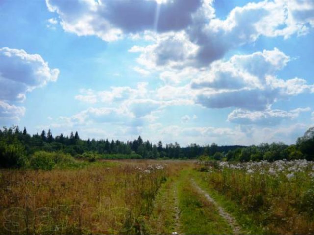 Участок д. Рождествено, дмитровский район. в городе Лобня, фото 1, стоимость: 1 650 000 руб.