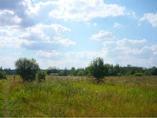 Участок д. Рождествено, дмитровский район. в городе Лобня, фото 4, стоимость: 1 650 000 руб.