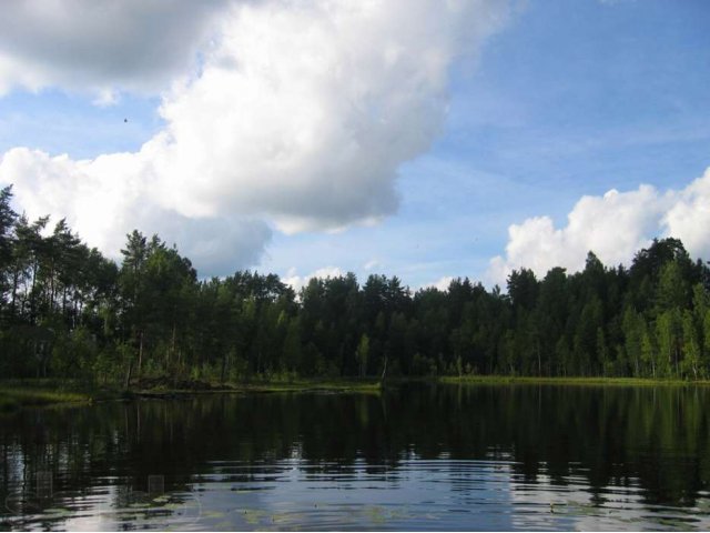 Продам имение на берегу Мертвого озера и реки Сестра в городе Санкт-Петербург, фото 1, стоимость: 74 000 000 руб.