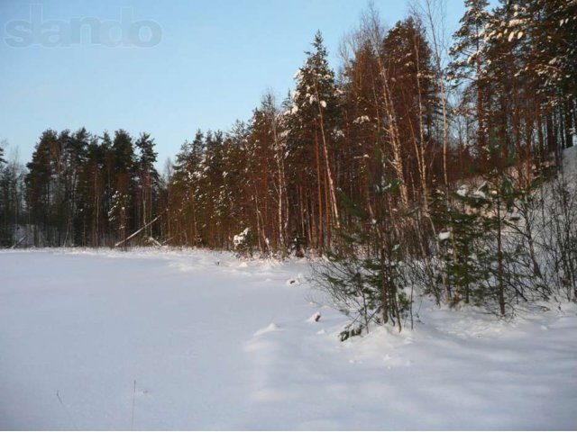 Продам имение на берегу Мертвого озера и реки Сестра в городе Санкт-Петербург, фото 3, Ленинградская область