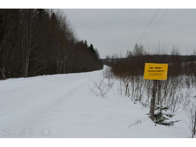 10 соток под ПМЖ, рядом охотхозяйство и 2 озера. в городе Волхов, фото 4, стоимость: 240 000 руб.