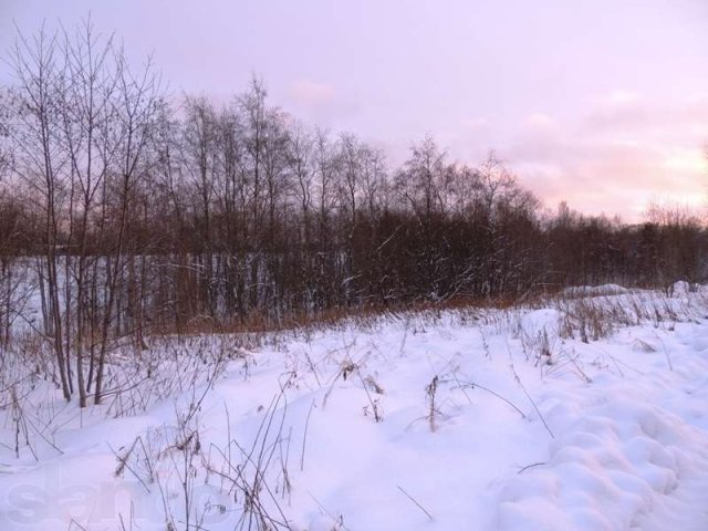 Никитилово. Участок 25 соток. ИЖС в городе Всеволожск, фото 3, Ленинградская область