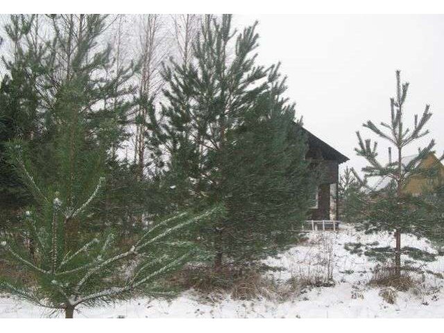 Дом 2-х эт. из бруса ИЖС в р-не Гертова в городе Никольское, фото 3, Продажа земли под индивидуальное строительство