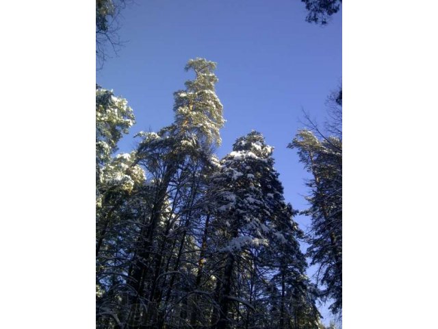 Доступный участок в пригороде в городе Калуга, фото 2, Калужская область