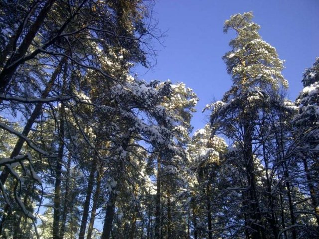 Доступный участок в пригороде в городе Калуга, фото 3, стоимость: 290 000 руб.