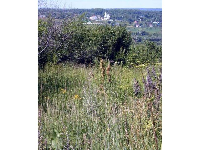 Участок на Правом берегу по реальной цене в городе Калуга, фото 1, стоимость: 450 000 руб.