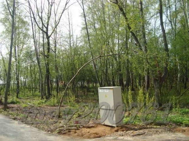 Участок 24 лесной пл.14 сот. под И.Ж.С. в Милюково (Первомайское) в городе Апрелевка, фото 1, Продажа земли под индивидуальное строительство