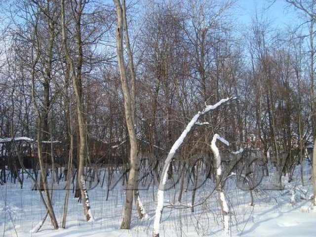 Участок 24 лесной пл.14 сот. под И.Ж.С. в Милюково (Первомайское) в городе Апрелевка, фото 6, стоимость: 7 105 347 руб.