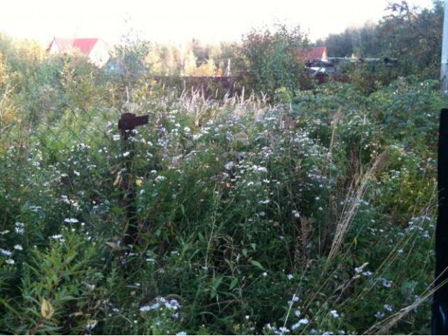 Дача в Электроуглях в городе Электроугли, фото 1, Продажа земли под индивидуальное строительство