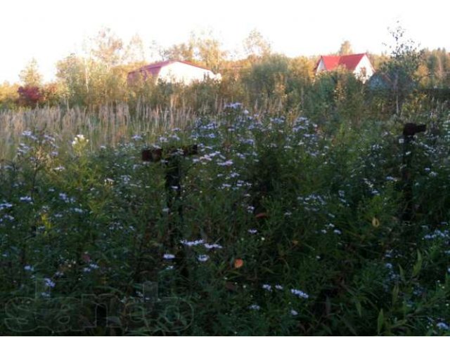 Дача в Электроуглях в городе Электроугли, фото 2, Московская область