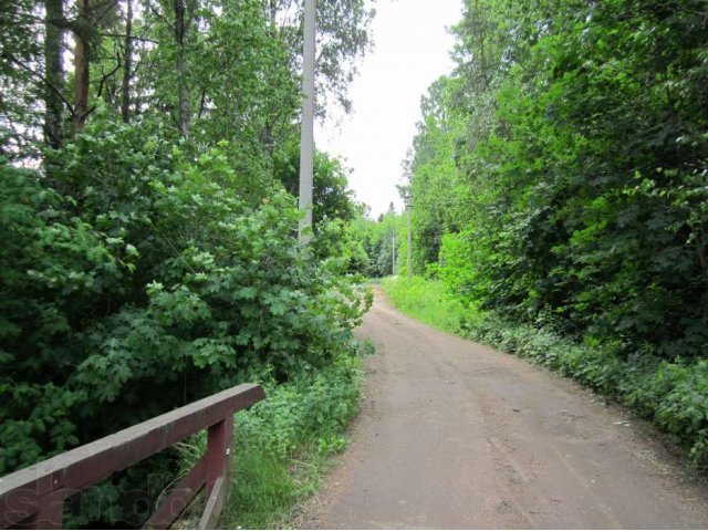 Участок ИЖС в Можжевельниково в городе Выборг, фото 1, Ленинградская область