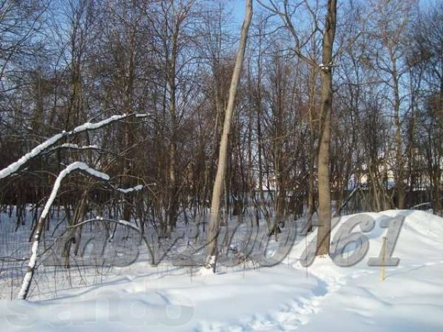 Участок 26 лесной пл.22 сот. под И.Ж.С. в Милюково (Первомайское) в городе Апрелевка, фото 8, Московская область