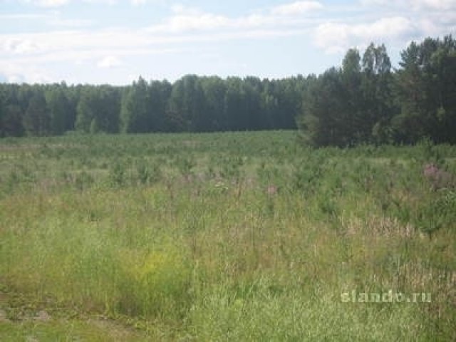 Продаю земельный участок, под дачную застройку в городе Екатеринбург, фото 1, стоимость: 1 800 000 руб.