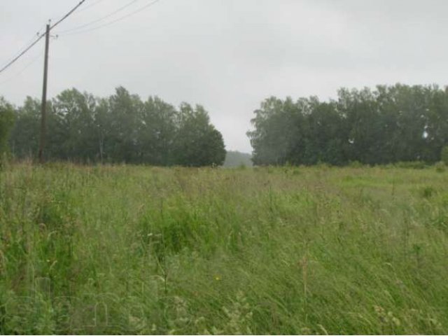 Купить Участок В Нижнем Новгороде Новинки