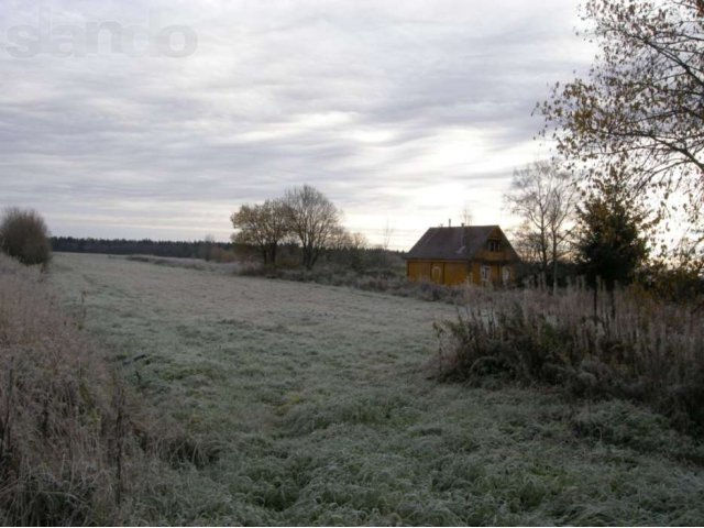 Продам 50 соток недорого в городе Волосово, фото 3, Продажа земли под индивидуальное строительство