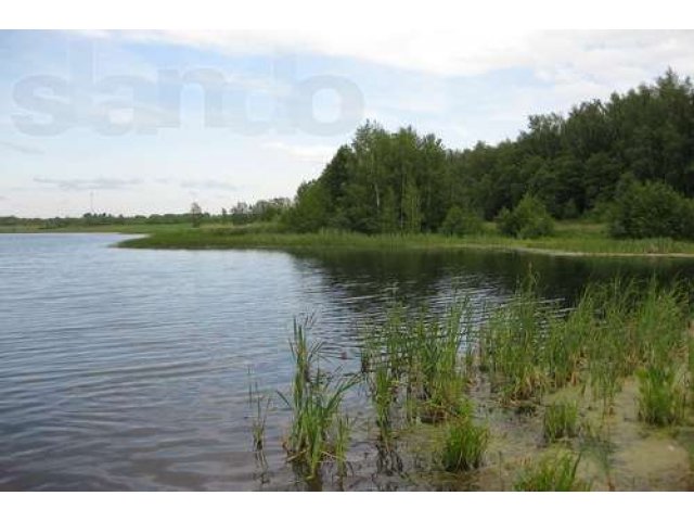 Земля населенного пункта в городе Киржач, фото 1, Владимирская область