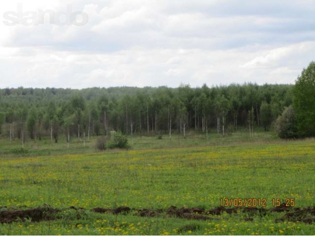 Участок 25 соток в д. Зубарево под строительство. в городе Александров, фото 2, Продажа земли под индивидуальное строительство