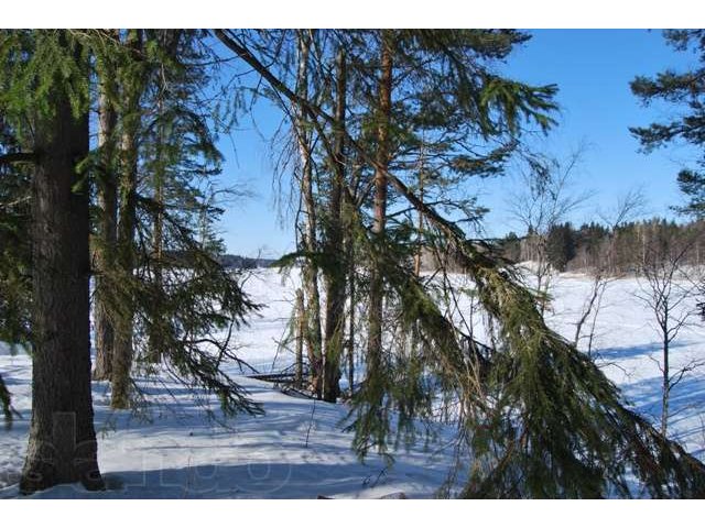 Карелия о. Кильпола 1-я линия, земля в городе Лахденпохья, фото 7, Продажа земли под индивидуальное строительство