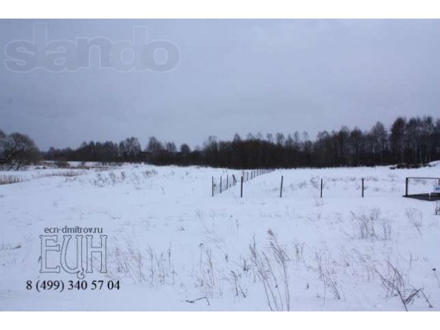 2 x 15 сот. д. Непейно ижс в городе Дмитров, фото 3, стоимость: 1 700 000 руб.