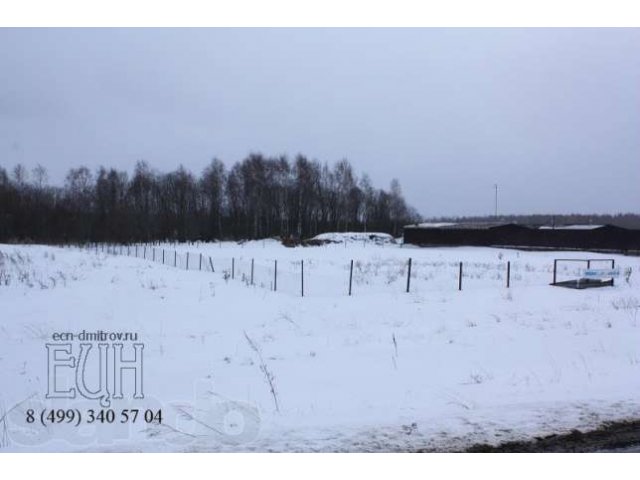 2 x 15 сот. д. Непейно ижс в городе Дмитров, фото 4, Продажа земли под индивидуальное строительство