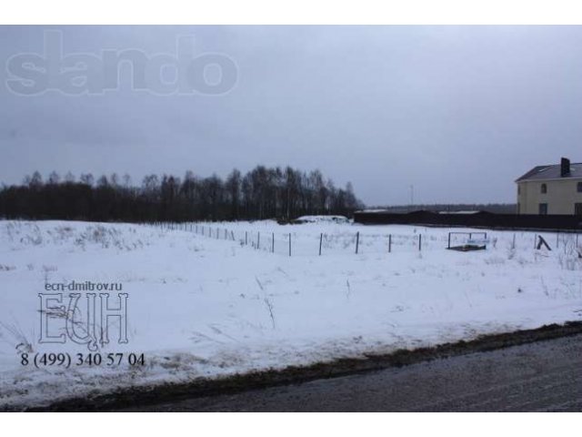 2 x 15 сот. д. Непейно ижс в городе Дмитров, фото 6, стоимость: 1 700 000 руб.