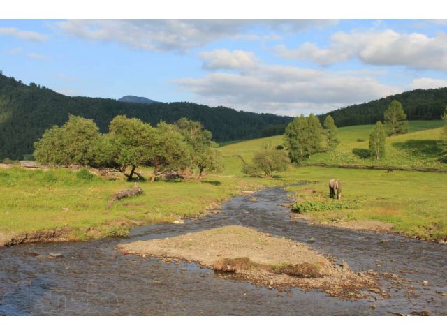 Село черга горный Алтай