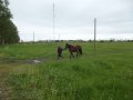 Сольцы, участок продам. в городе Сольцы, фото 4, Новгородская область