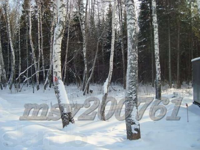 Участок 15 лесной под И.Ж.С. пл.17,45 соток. в Милюково (Первомайское) в городе Апрелевка, фото 5, Московская область