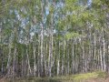 Каширское ш,Домодедово,Судаково в городе Домодедово, фото 1, Московская область