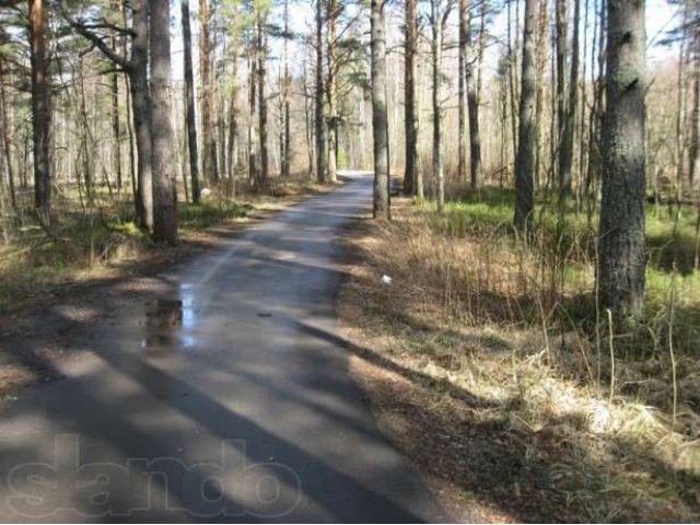 Участок в Смолячково. в городе Санкт-Петербург, фото 2, Ленинградская область