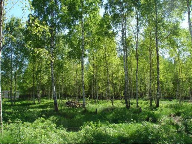 Земельный участок под ИЖС в р-не Першино в городе Киржач, фото 1, Владимирская область