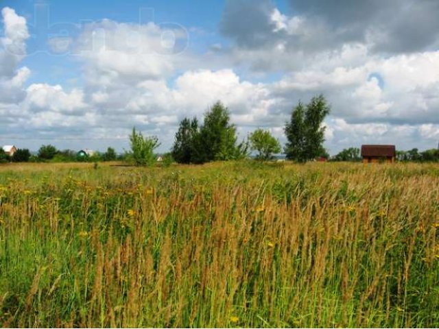 Симф.ш., продаётся участок 15 сот на Оке в городе Серпухов, фото 6, стоимость: 650 000 руб.