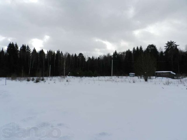 Земельный участок 25 соток в деревне Деревеньки в городе Балабаново, фото 1, стоимость: 600 000 руб.