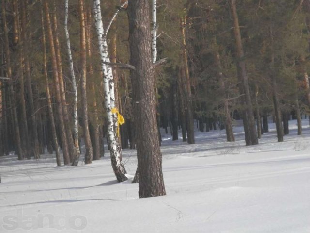 Участок в с. Лесниково в городе Курган, фото 3, стоимость: 550 руб.