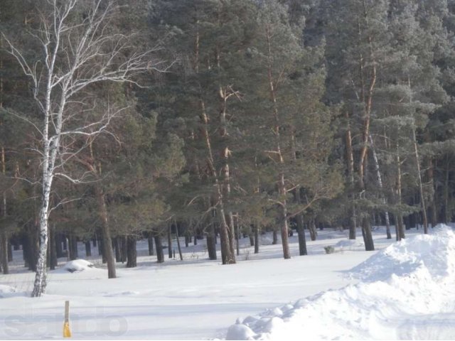 Участок в с. Лесниково в городе Курган, фото 5, Курганская область