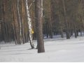 Участок в с. Лесниково в городе Курган, фото 3, Продажа земли под индивидуальное строительство