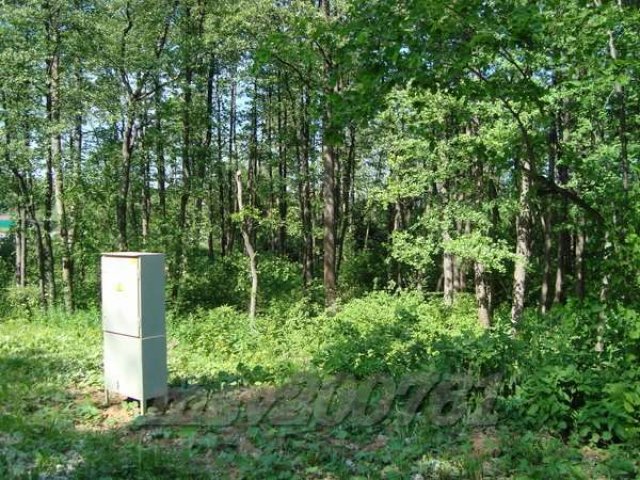 Участок 105 лесной пл.25,3 сот. под И.Ж.С. в Крекшино (Апрелевка) в городе Апрелевка, фото 1, Продажа земли под индивидуальное строительство