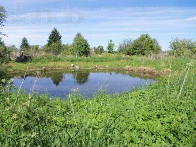 Участок в Чаплино в городе Волхов, фото 1, Продажа земли под индивидуальное строительство