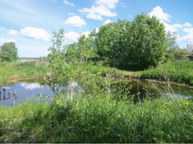 Участок в Чаплино в городе Волхов, фото 2, Ленинградская область