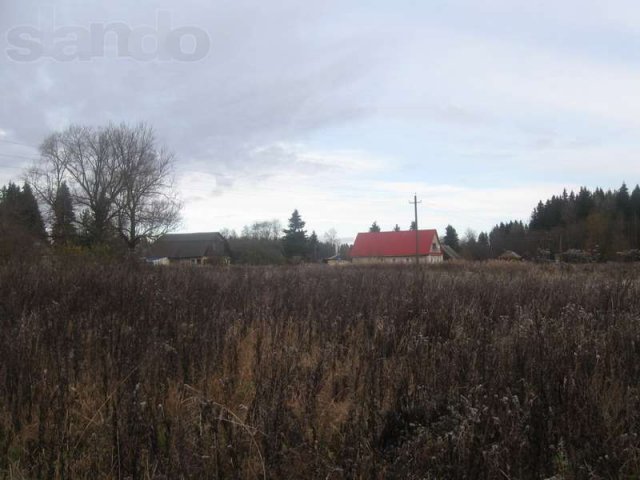 Земельный участок в д.Соколовка в городе Волосово, фото 8, Ленинградская область