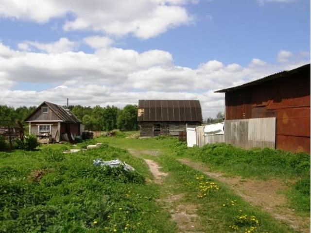 Земельный участок в д. Васютино в городе Павловский Посад, фото 4, стоимость: 1 600 000 руб.