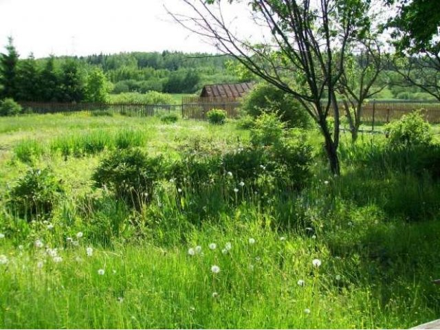 Продам земельный участок в Павлово Посадском районе в городе Павловский Посад, фото 5, Московская область